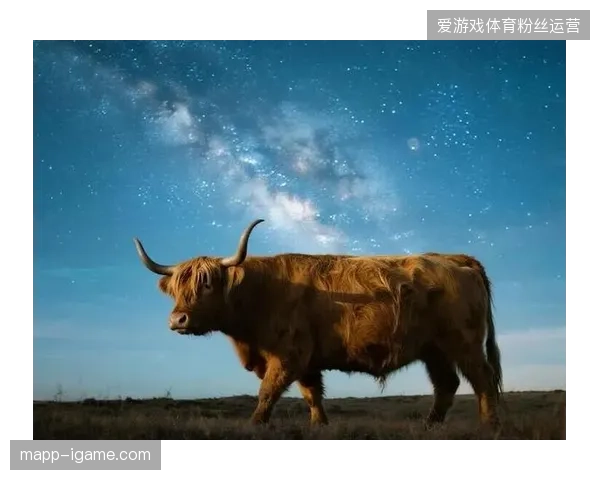 2026年后基于链上唯一ID的数字化门票体系或将彻底瓦解黄牛存活空间